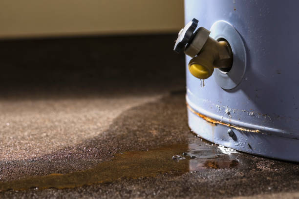 Best Carpet water damage restoration  in Arroyo Seco, NM