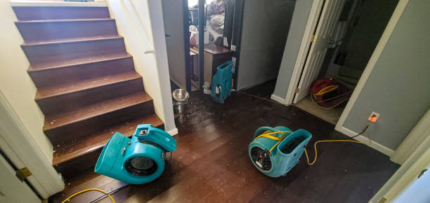 Best Residential water damage restoration  in Arroyo Seco, NM
