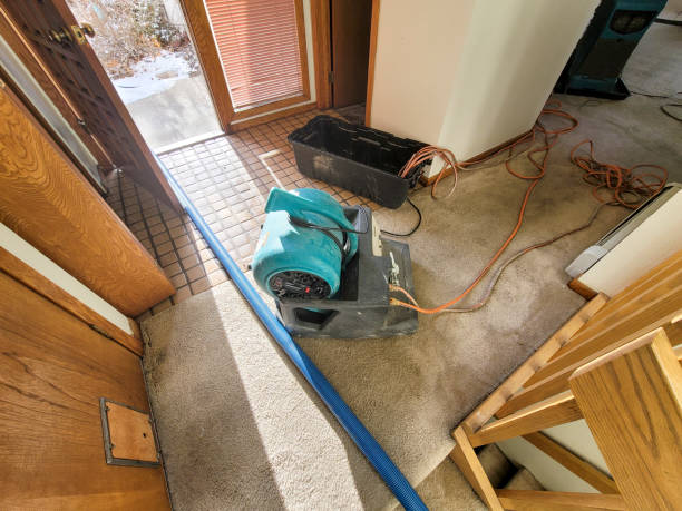 Best Water damage restoration near me  in Arroyo Seco, NM