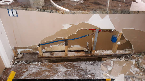 Best Water damage restoration near me  in Arroyo Seco, NM
