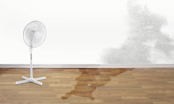 Best 24/7 water damage repair  in Arroyo Seco, NM
