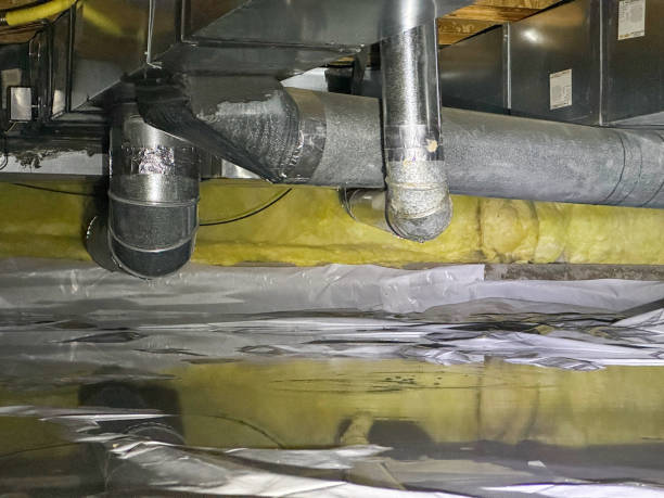 Best Mold removal after water damage  in Arroyo Seco, NM