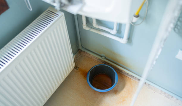 Best Flood restoration services  in Arroyo Seco, NM